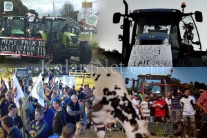 Des producteurs de lait manifestent devant le complexe de Lactilis