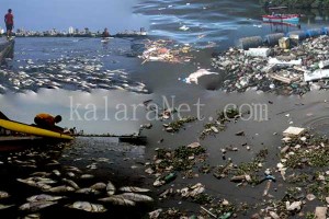 Les eaux polluées de Rio recevront les J.O