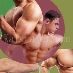 Nous utilisons les muscles tous le temps – KalaraNet.com – Août 2016