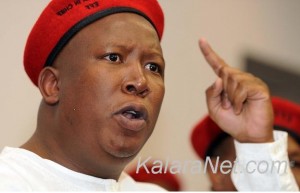 Afrique du sud : EFF décide de ne pas être dans la coalition de l'opposition