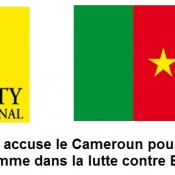 Amnesty International accuse le Cameroun d'atteinte aux droits de l'homme par Dona Belibi