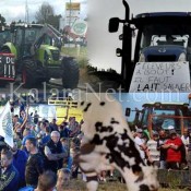 Des producteurs de lait manifestent devant le complexe de Lactilis