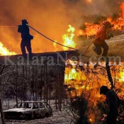 Des incendies au Portugal ravagent des villes