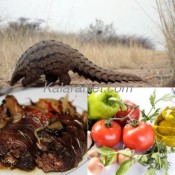 Le pangolin, gibier cuisiné avec du piment et des herbes